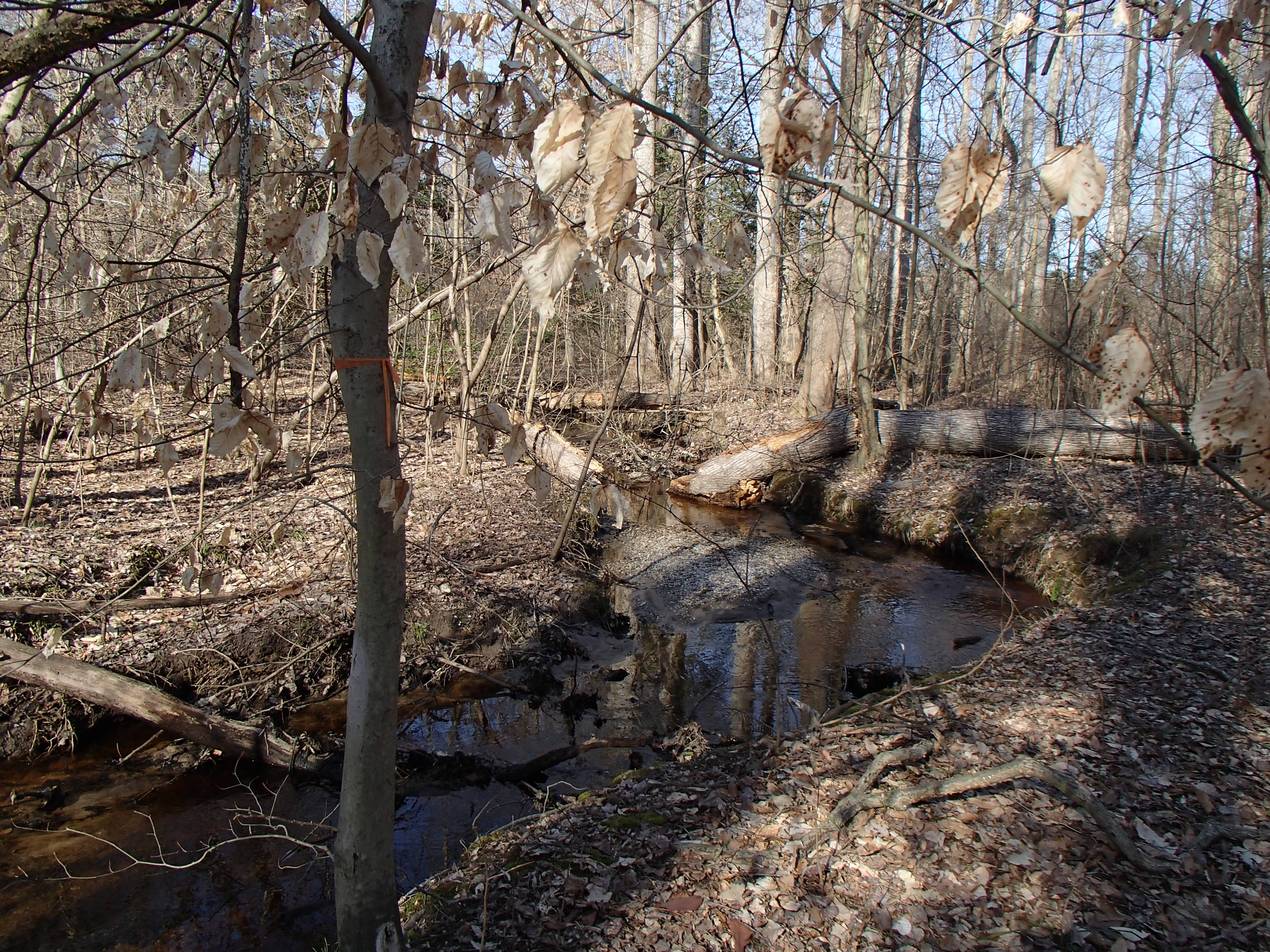 Field photo showing stream conditions at site UPCK-113-S-2016_midpoint looking upstream